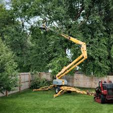 Best Arborist Consultation Services  in Ransomville, NY