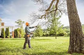 Best Hedge Trimming  in Ransomville, NY